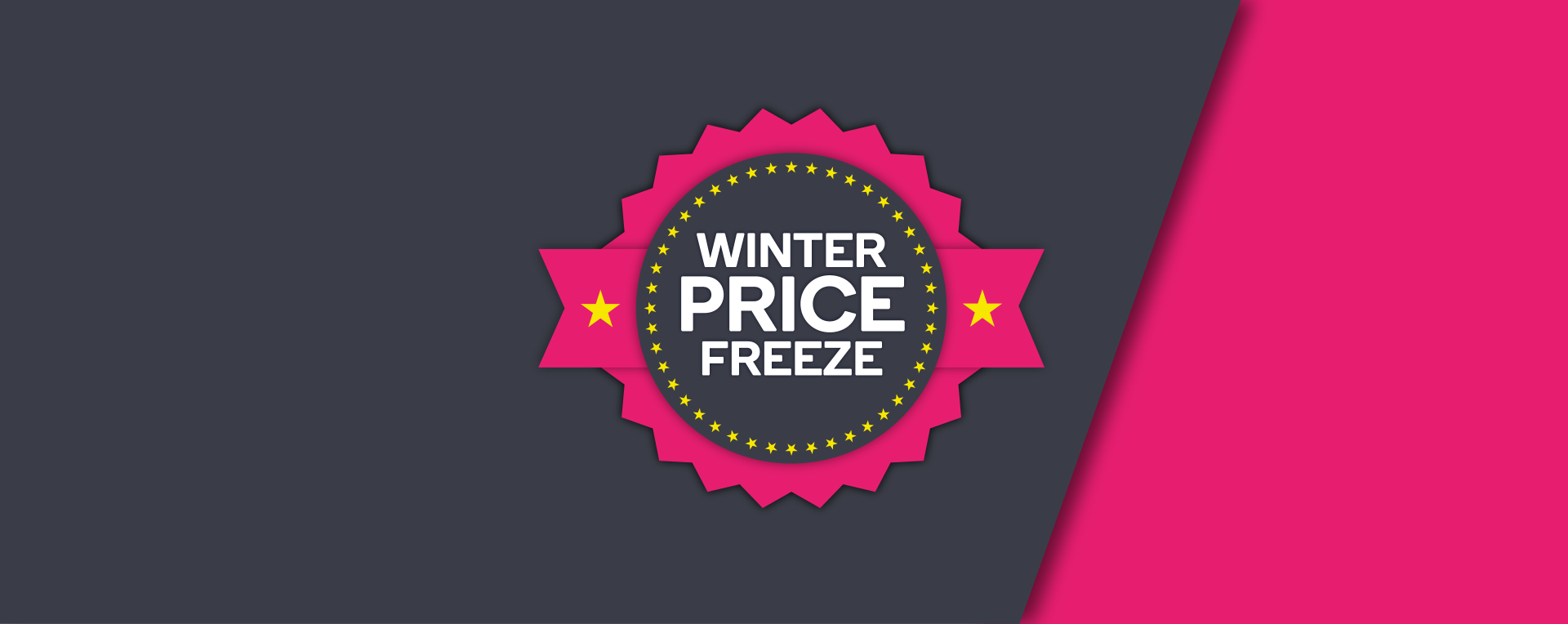 Winter Price Freeze Static
